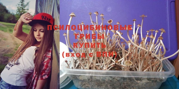 хмурый Покачи