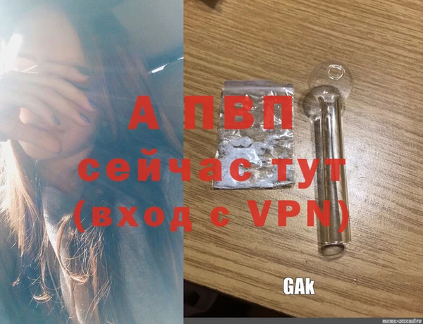 хмурый Покачи