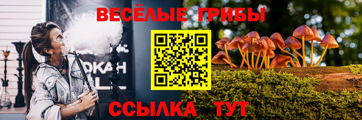 Псилоцибиновые грибы Psilocybine cubensis  цена   Коммунар  Вход с VPN 
