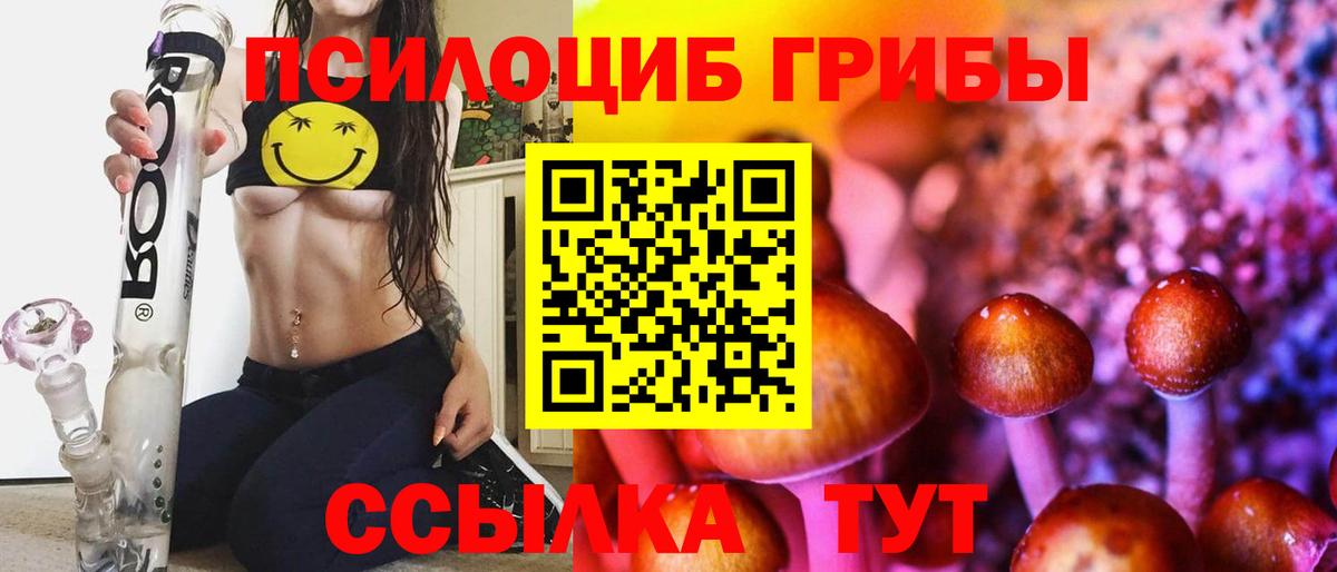 Галлюциногенные грибы Psilocybe Коммунар